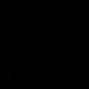 Meet your Posher, Stephen